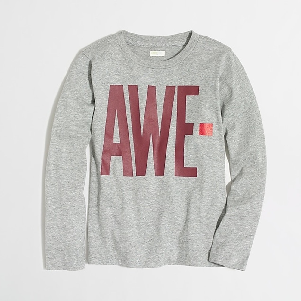 Jcrew Boys' long-sleeve awesome storybook T-shirt